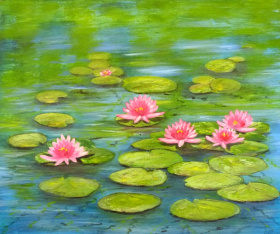 Water lilies 