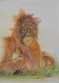 Bad hair day Bad hair day