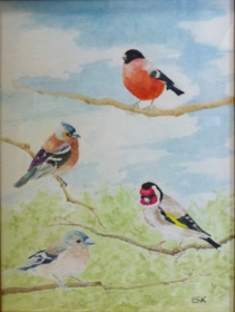Garden Birds Garden Birds