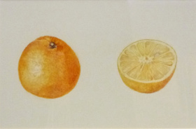 Juicy Orange Juicy Orange