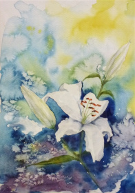 Lillies Lillies