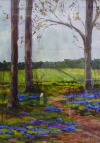 Renishaw Bluebells