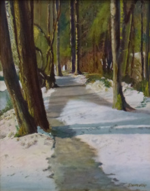 Snowy Path 