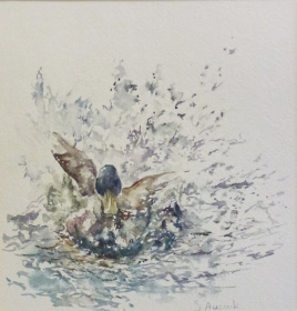 Splash Splash I’m Having a Bath Splash Splash I’m Having a Bath