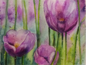 Tulips
