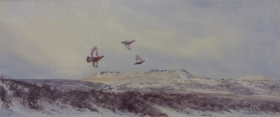 Grouse Over Higger Tor 