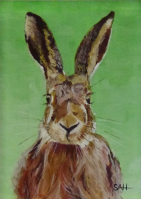 Hare