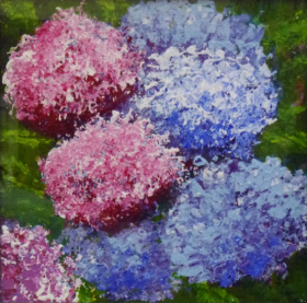 Hydrangeas Hydrangeas