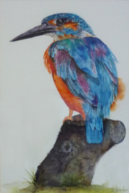 Kingfisher Kingfisher