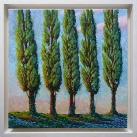 Poplars in Evening Light Poplars in Evening Light