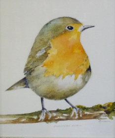 Robin