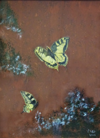 Swallowtails 