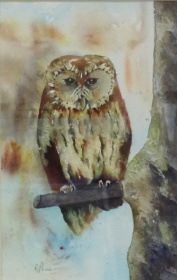 Wise Owl Wise Owl