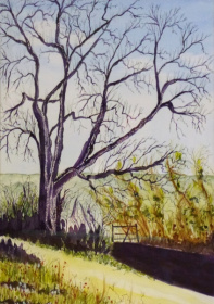 Country Lane Bakewell  Country Lane Bakewell